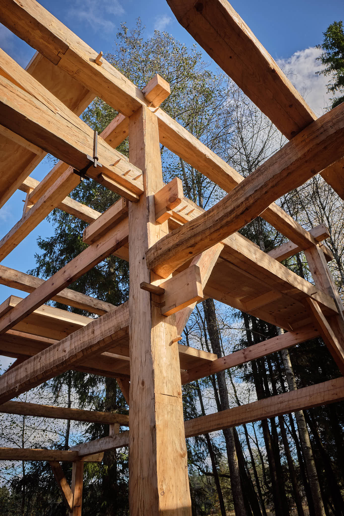 Kallelse till digitalt årsmöte torsdag den 26 mars kl 19.00